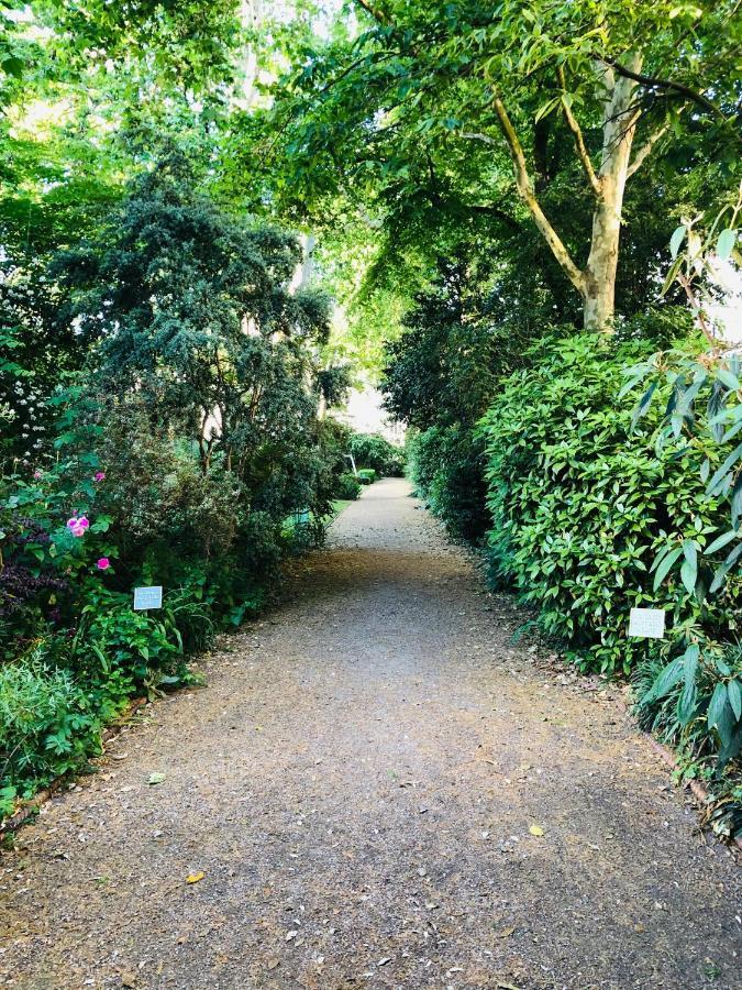 Southern Belgravia Apartments Londen Buitenkant foto
